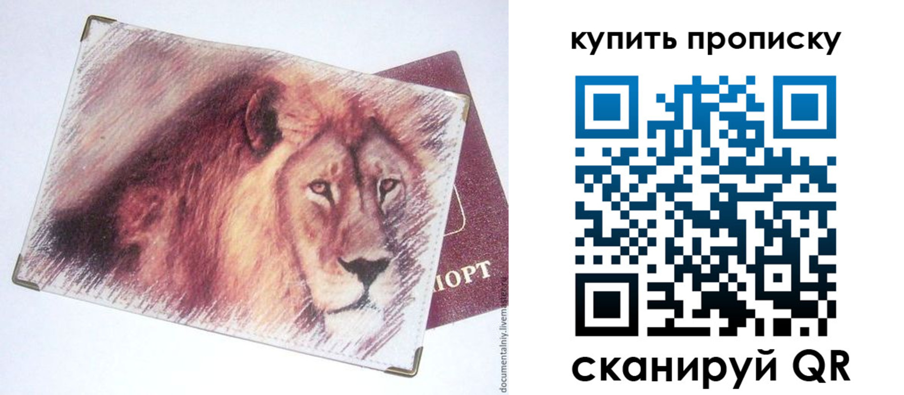 прописка паспорт в Анадыре